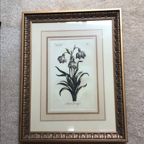 Uttermost Wall Art Gold Framed Flower Poshmark